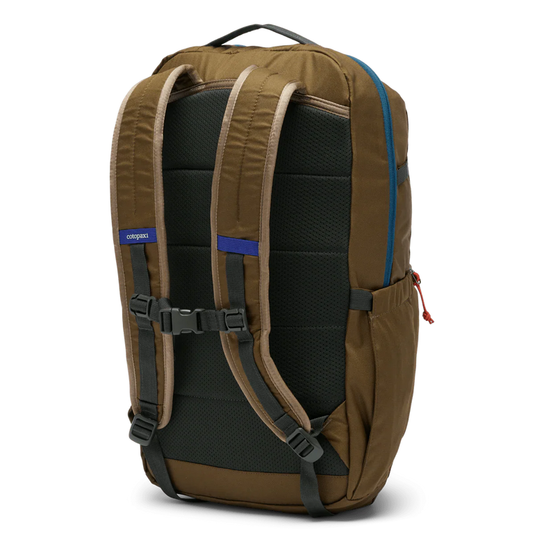 Cotopaxi Chiquillo 26L Backpack - Cada Día - Live Oak